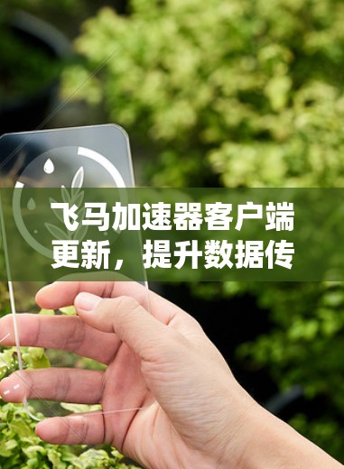 飞马加速器客户端更新，提升数据传输性能与稳定性