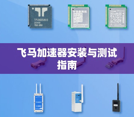 飞马加速器安装与测试指南